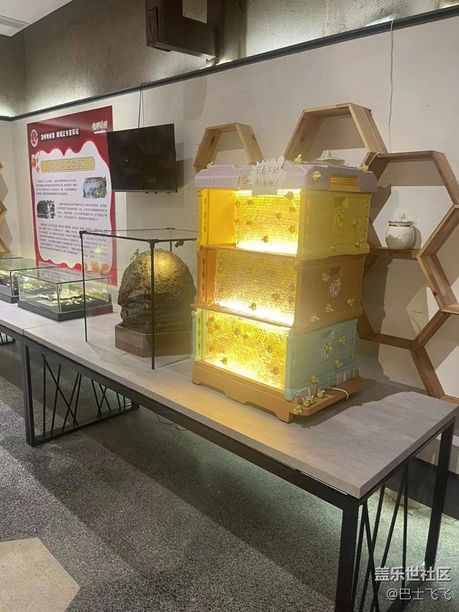 #我喜歡的攝影模式——參觀者模式