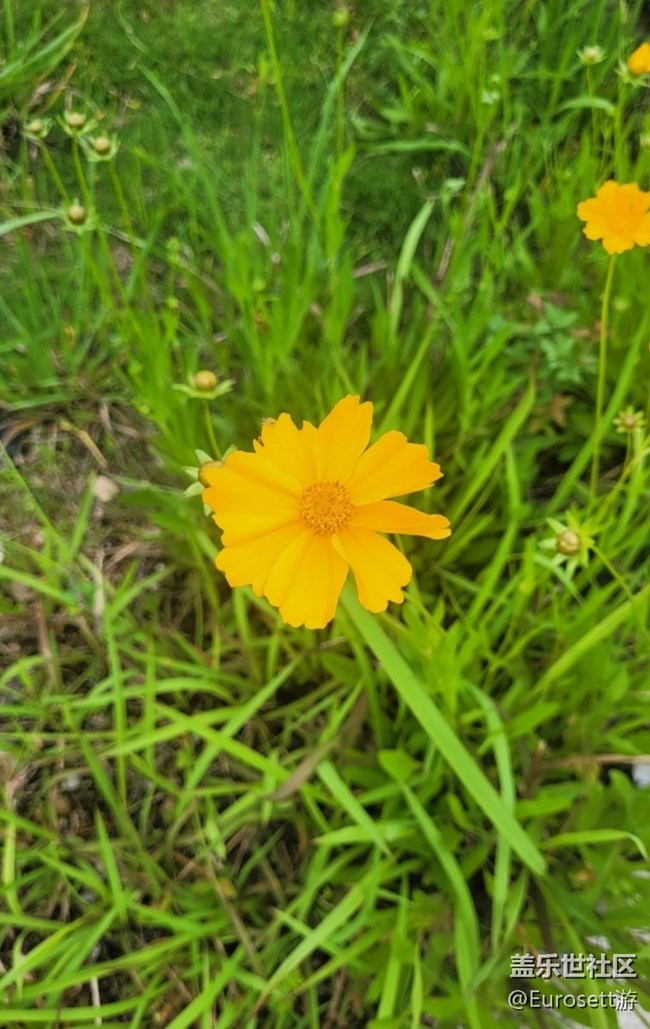 【那年初秋】小花園