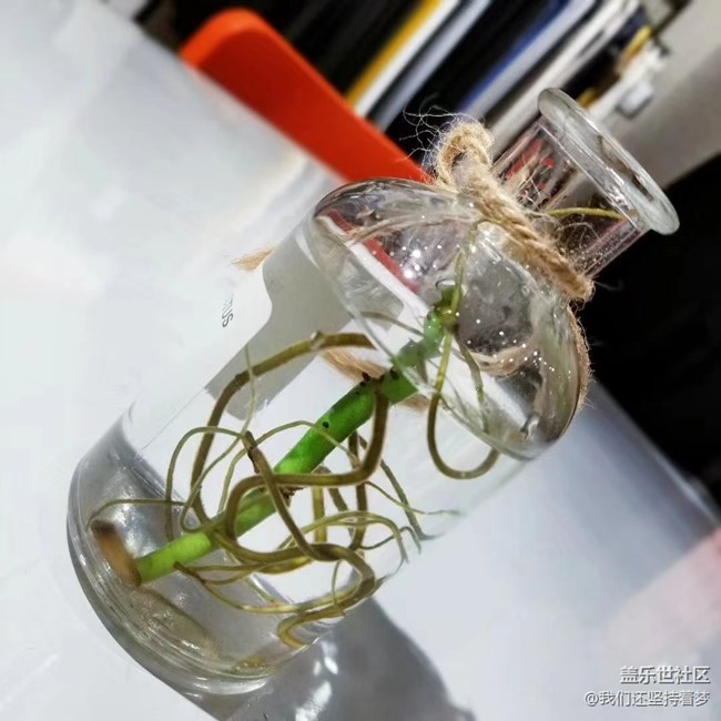 #我喜歡的攝影模式——近距離拍