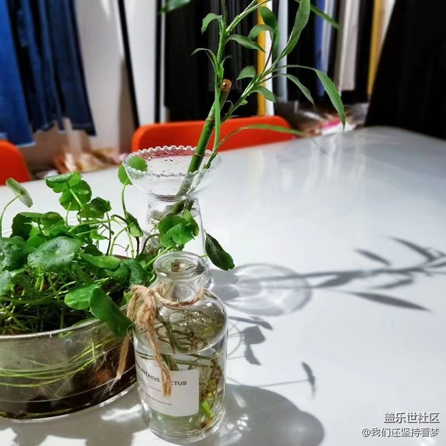 #我喜歡的攝影模式——近距離拍