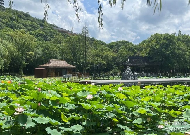 #我喜歡的攝影模式——風(fēng)景