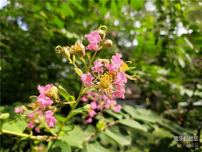 【尋一份美好】生活中處處充滿美