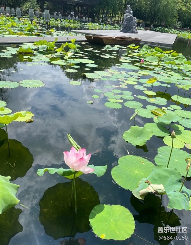 #我喜歡的攝影模式——風(fēng)景