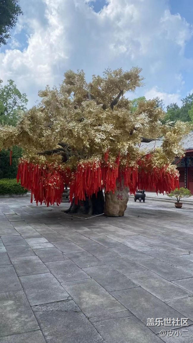 【尋一份美好】假期結(jié)束了