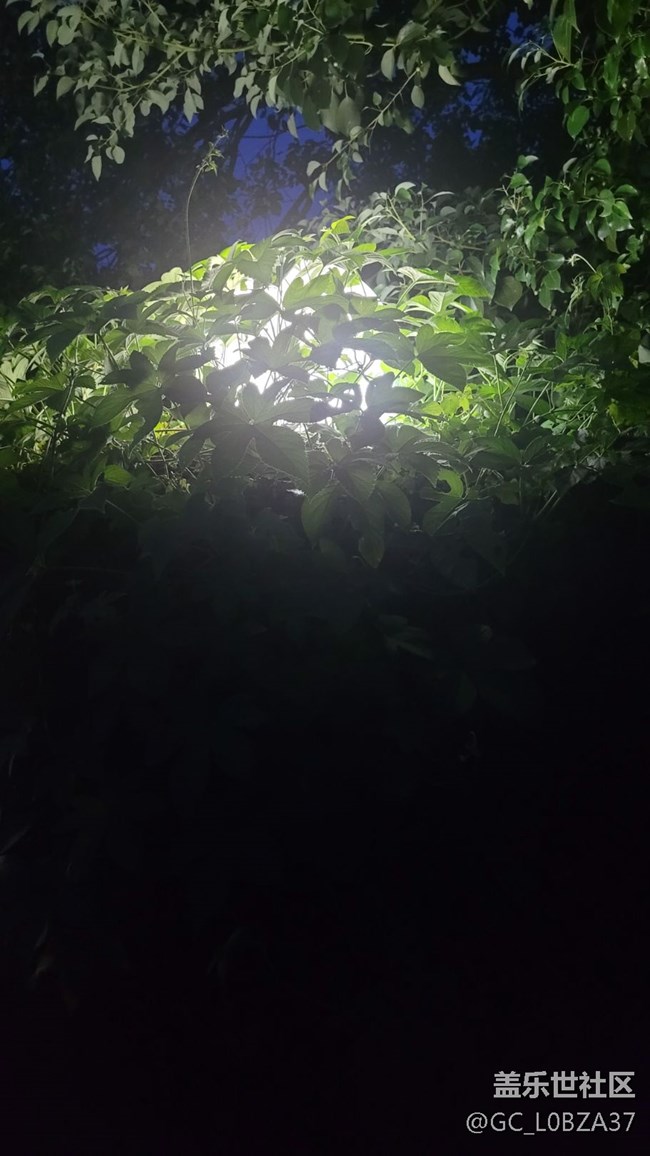 #我喜歡的攝影模式——夜拍模式
