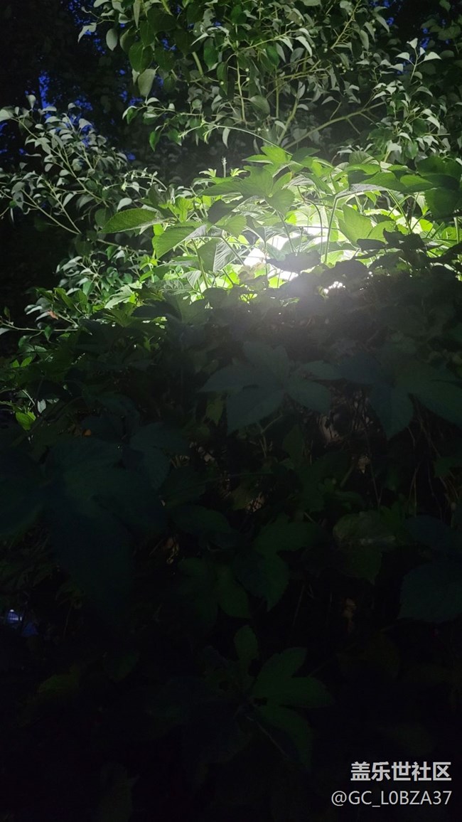 #我喜歡的攝影模式——夜拍模式