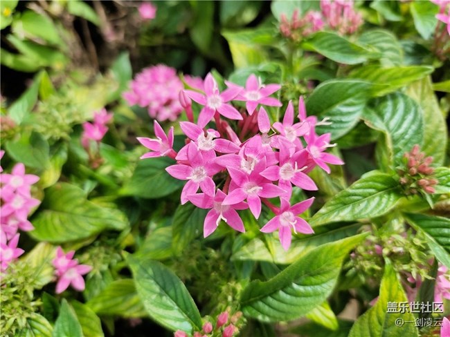 【尋一份美好】生活中處處充滿美