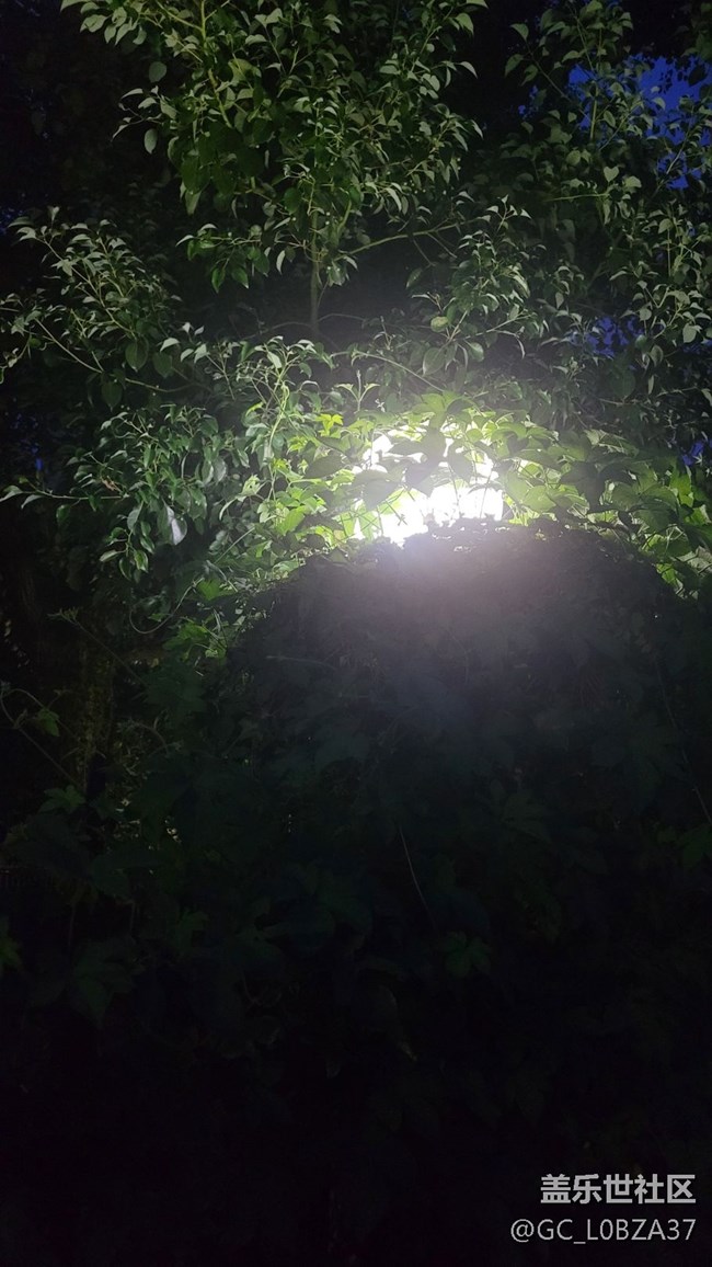#我喜歡的攝影模式——夜拍模式