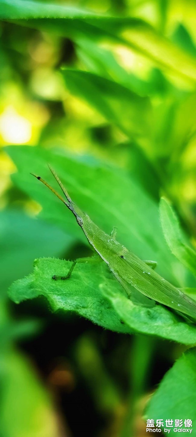 《精品大咖秀》 第十三期:2023的三分之二 《精品大咖秀》 第十三期:2023的三分之二
