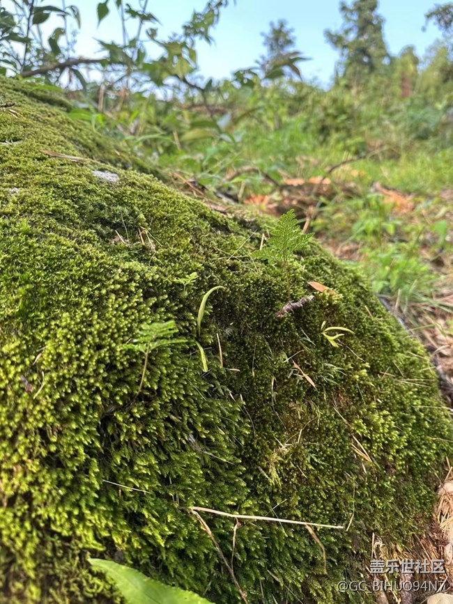 【捕捉夏日美好】勞動(dòng)光榮