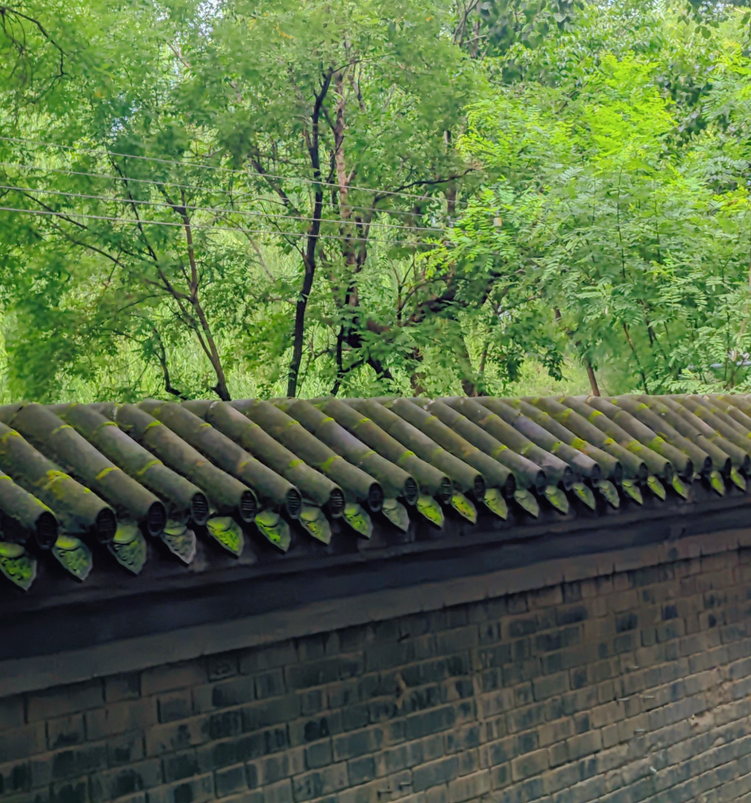 北京星部落八月線下活動-中法大學舊址參觀學習