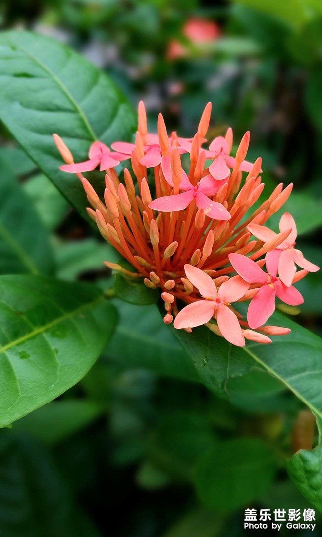 《精品大咖秀》 第十三期:2023的三分之二 《精品大咖秀》 第十三期:2023的三分之二