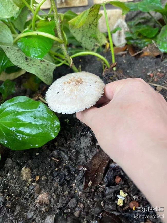 #我喜歡的攝影模式——隨手拍景物