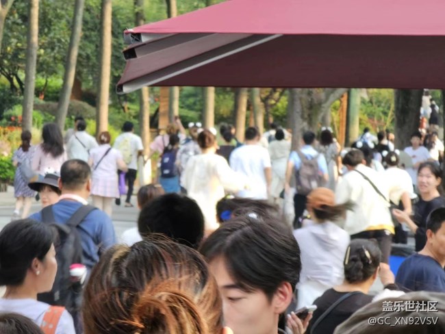 線下攝影活動(dòng)回顧貼 - 熊貓基地拍“大貓”