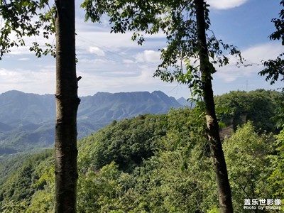 【最美初秋】漢水源的樹