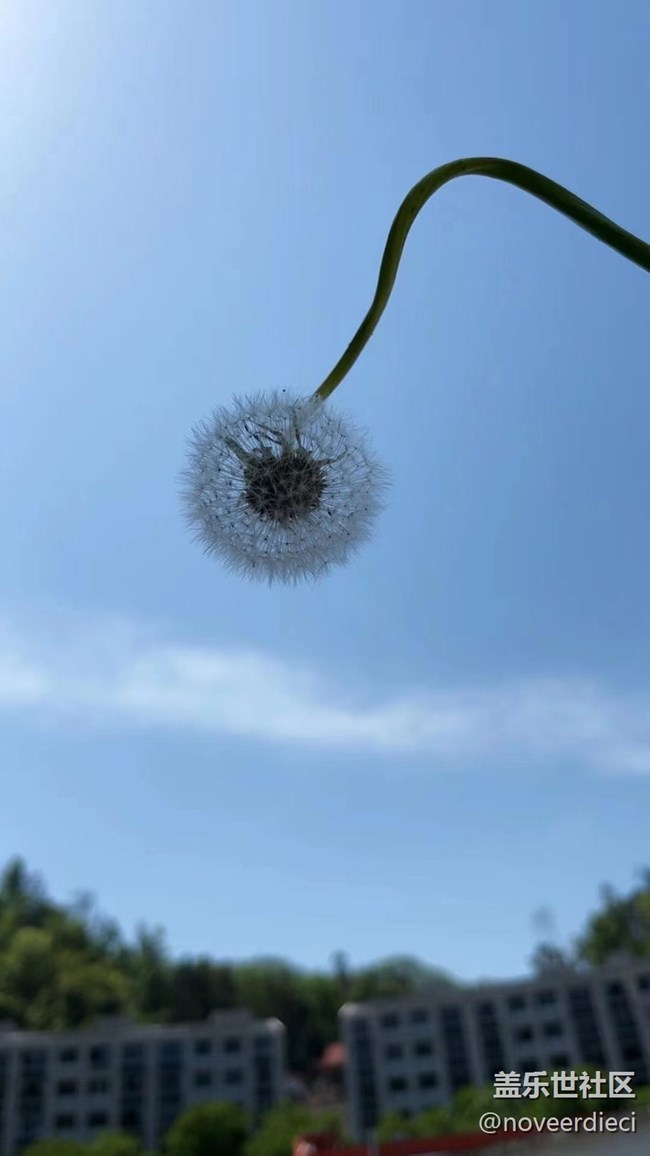 #我喜歡的攝影模式——隨手拍景物