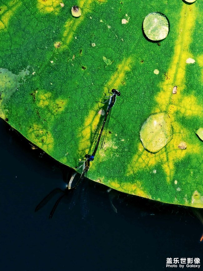 《精品大咖秀》 第十三期:2023的三分之二 《精品大咖秀》 第十三期:2023的三分之二