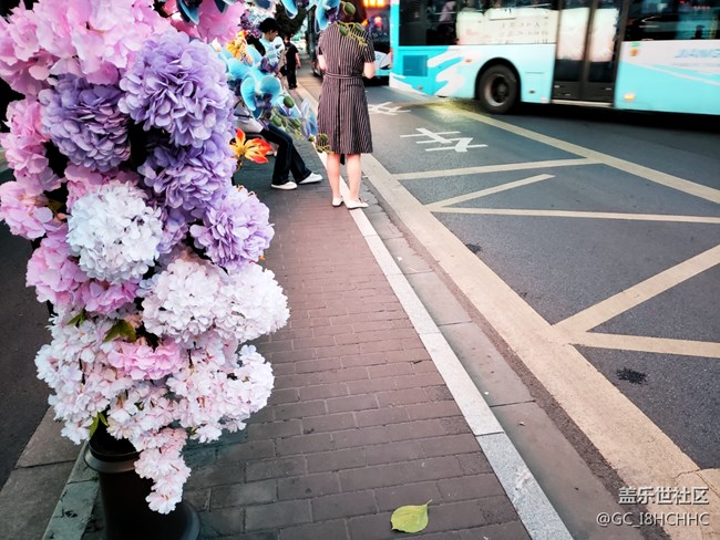 【街景】+鲜花公交车站