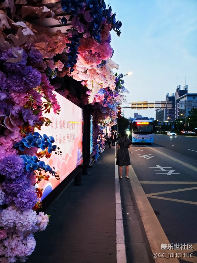【街景】+鲜花公交车站