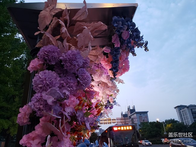 【街景】+鮮花公交車站