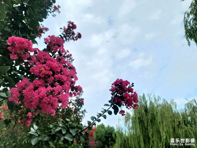 【最美初秋】初秋的風景
