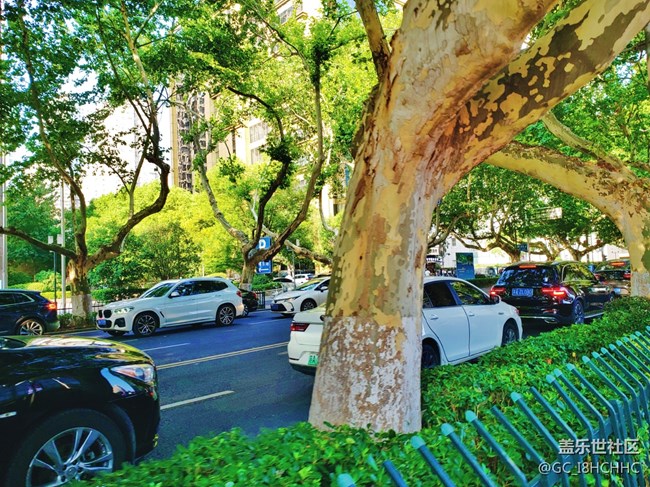 【街景】+長(zhǎng)江路西