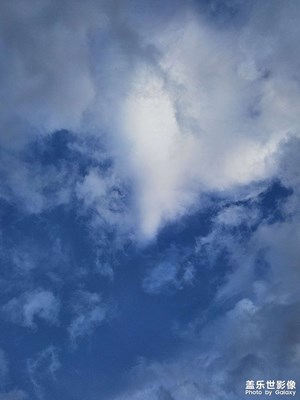 【最美初秋】天空，樹木和月亮。