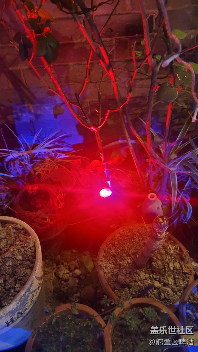 【夜景街頭】燈光