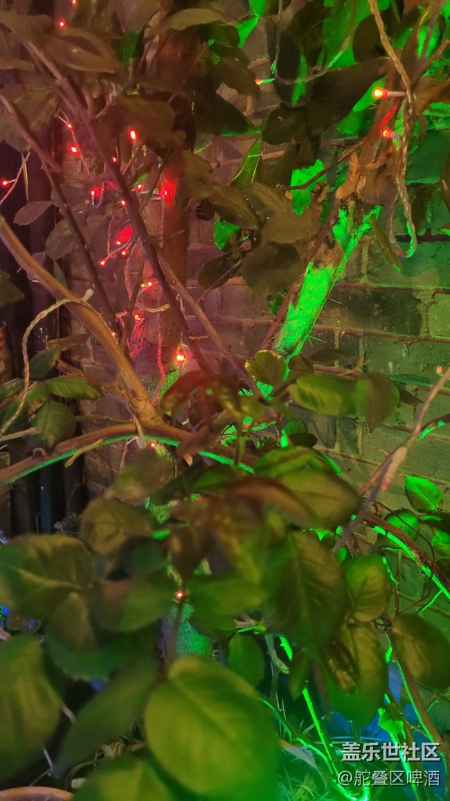 【夜景街頭】燈光