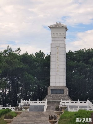 縱使相逢應(yīng)不識(shí)，塵滿面，鬢如霜。