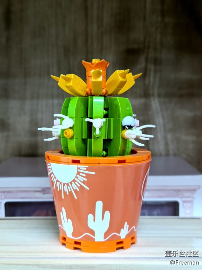 【萬物皆可折疊】獨(dú)一無二的美麗