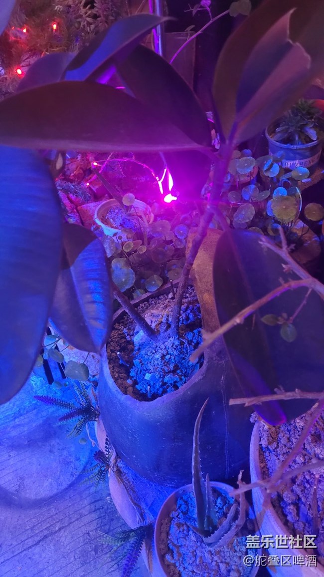 【夜景街頭】燈光