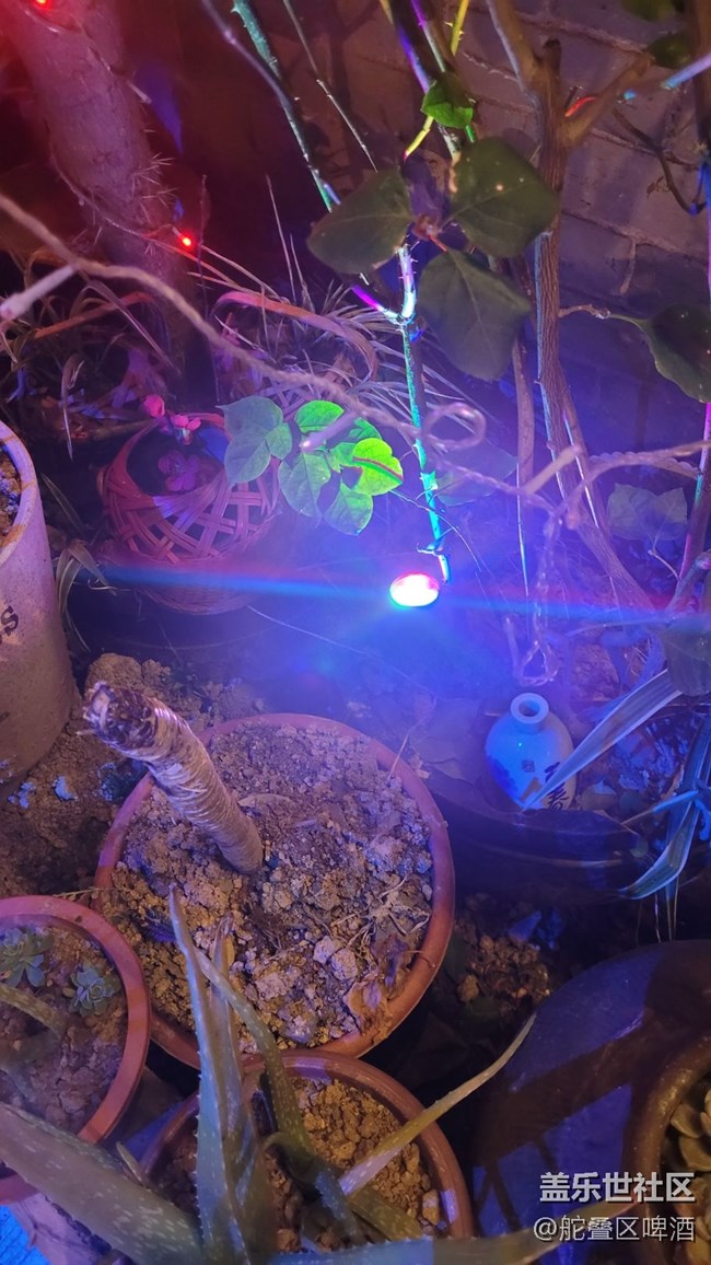 【夜景街頭】燈光