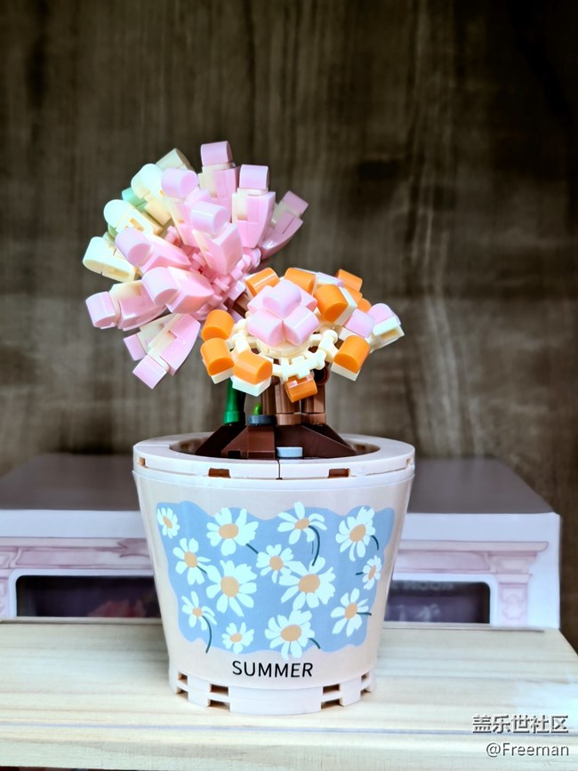 【萬物皆可折疊】獨(dú)一無二的美麗