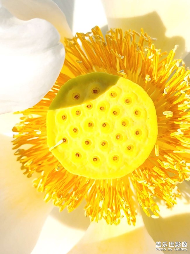 《精品大咖秀》 第十四期：教師節(jié)快樂