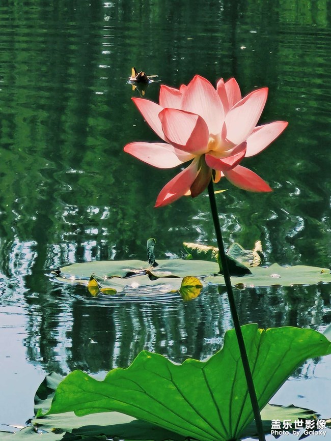 《精品大咖秀》 第十四期：教師節(jié)快樂