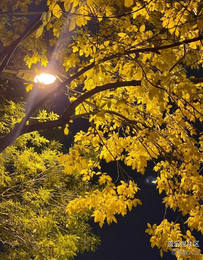 【夜景街頭】夜晚隨拍