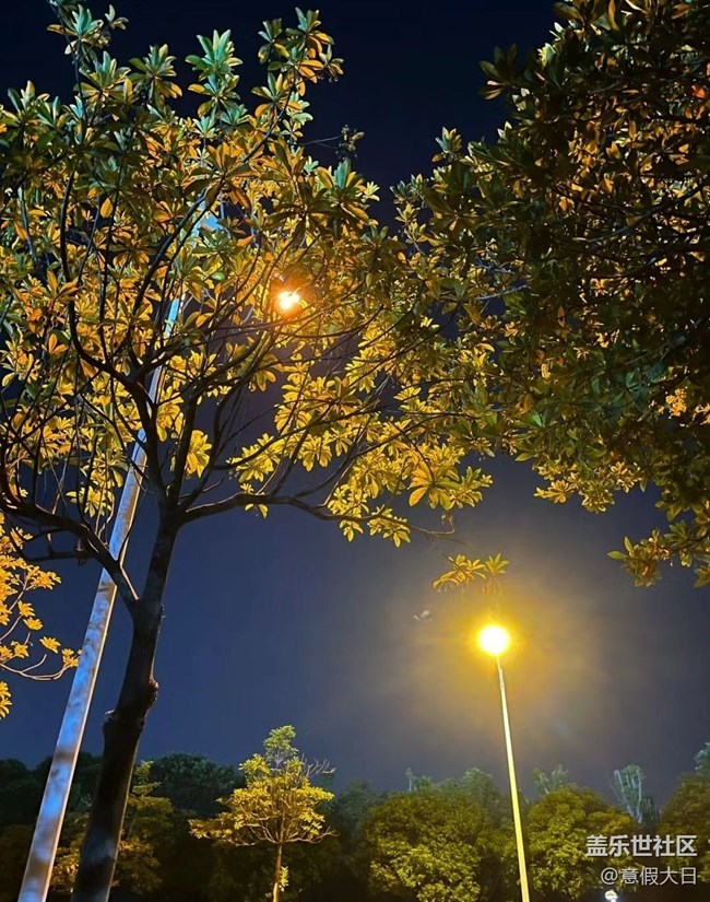 【夜景街頭】夜晚隨拍