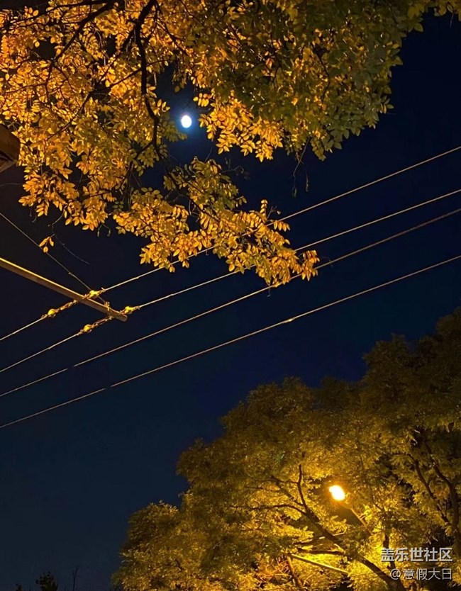 【夜景街頭】夜晚隨拍