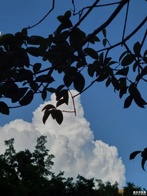 【再見夏天】+ 難忘的記憶