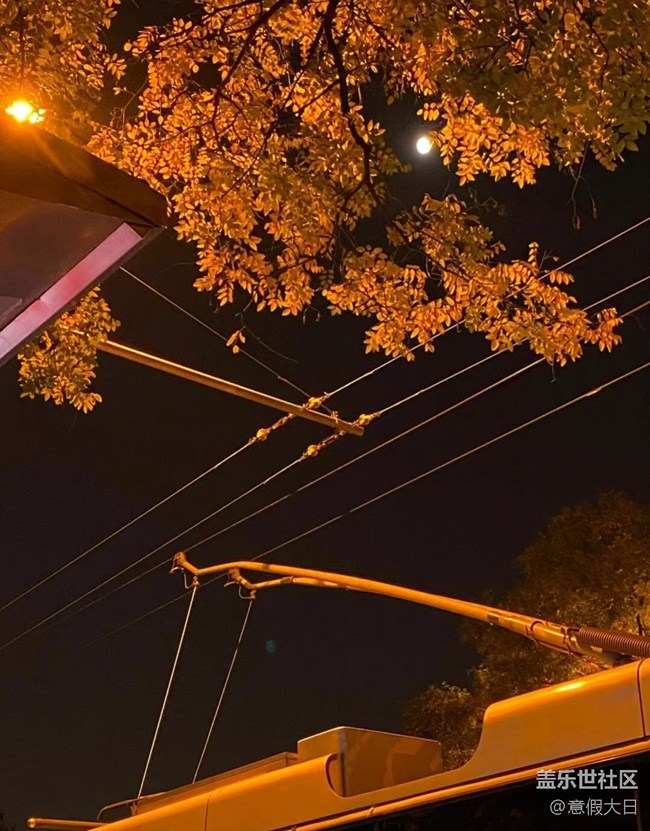 【夜景街頭】夜晚隨拍