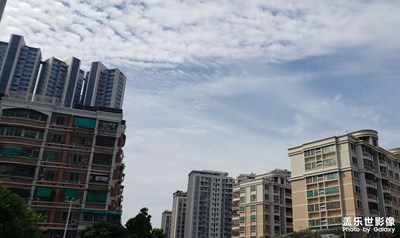隨手拍