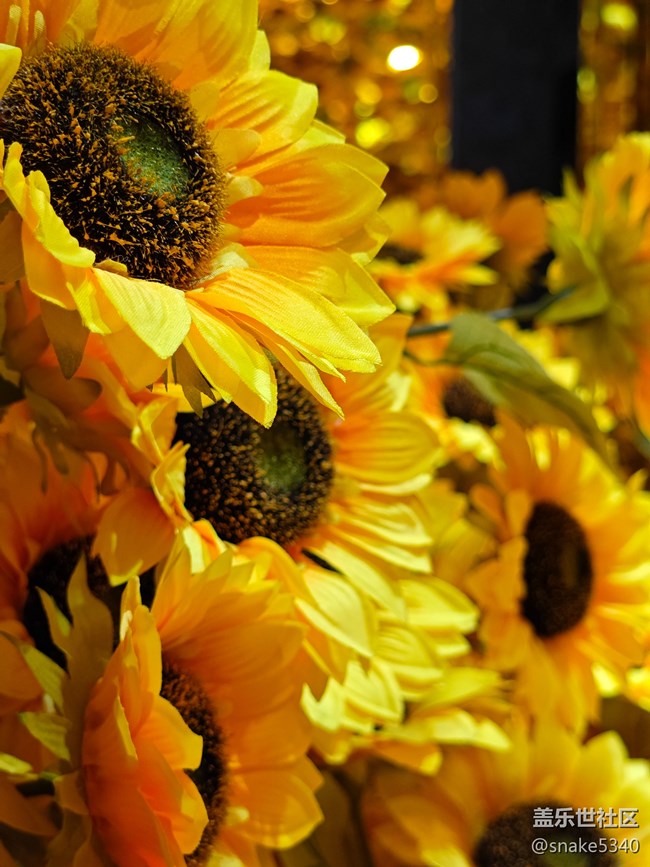 回顧——沈陽星部落七夕活動(dòng),梵高 回顧——沈陽星部落七夕活動(dòng),梵高