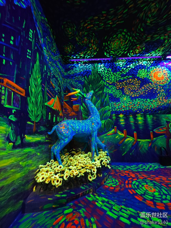 回顧——沈陽星部落七夕活動(dòng),梵高 回顧——沈陽星部落七夕活動(dòng),梵高