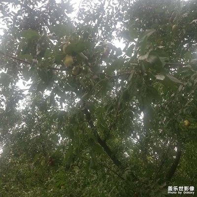 【最美初秋】彎彎的月亮