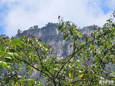 【最美初秋】爬山偶見