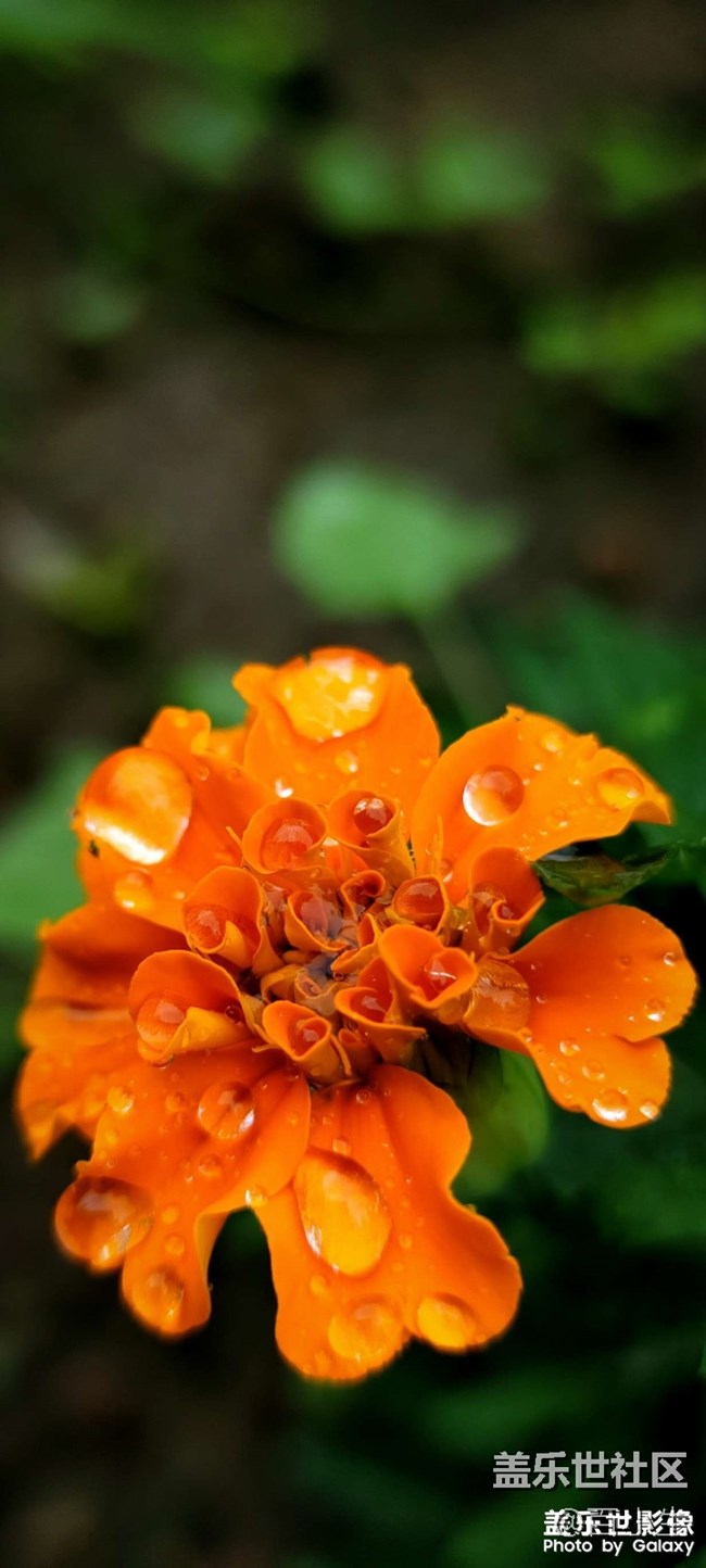 《精品大咖秀》 第十五期：三星W系列新品要來啦~