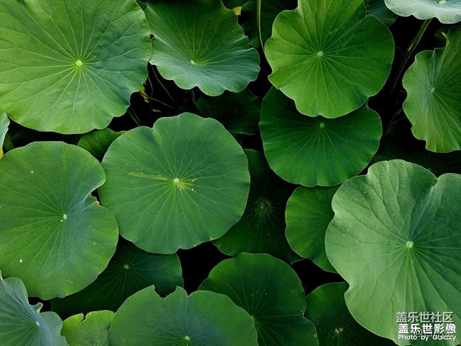 《精品大咖秀》 第十五期：三星W系列新品要來啦~