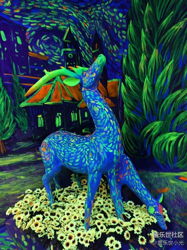 沈陽星部落梵高星空藝術(shù)館拍攝活動(dòng)回顧