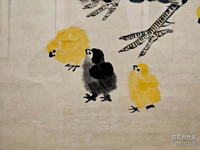 ?成都星部落折疊新品快閃店回顧